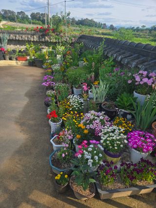 자연인님의 자유주제 · 자유게시판 작성글 사진