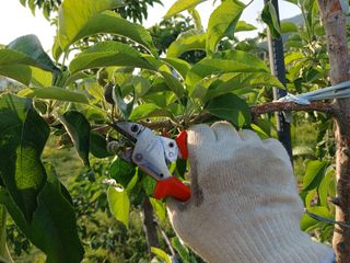알 수 없음님의 자유주제 · 자유게시판 작성글 사진