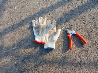 알 수 없음님의 자유주제 · 자유게시판 작성글 사진