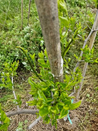 김 농부님의 자유주제 · 자유게시판 작성글 사진