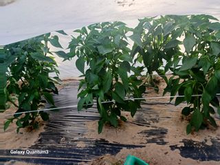 이창우님의 자유주제 · 자유게시판 작성글 사진