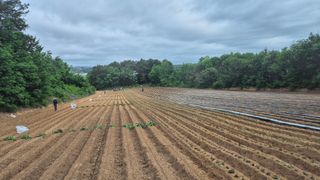 김동수님의 자유주제 · 자유게시판 작성글 사진