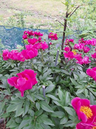 김광수님의 자유주제 · 자유게시판 작성글 사진