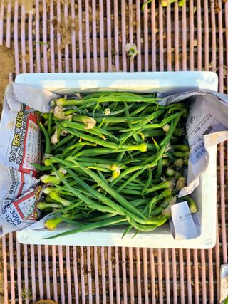 김도훈님의 작성글 사진