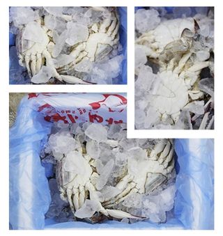 농수사님의 작성글 사진