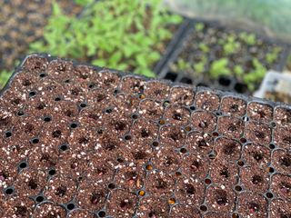 별@노래농장(정씨)님의 자유주제 · 자유게시판 작성글 사진