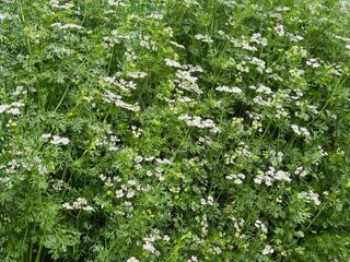 이현학님의 자유주제 · 자유게시판 작성글 사진