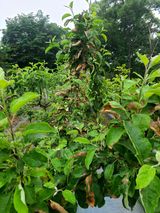 팜모닝 자유주제·자유게시판 게시글 이미지