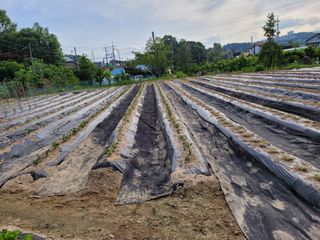 (어울림)님의 자유주제 · 자유게시판 작성글 사진