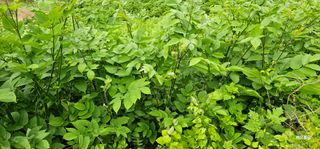 해오름달님의 자유주제 · 사진전 작성글 사진