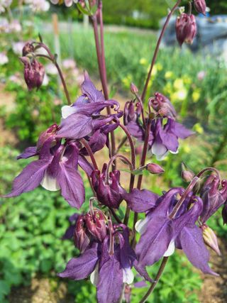 김광수님의 자유주제 · 자유게시판 작성글 사진