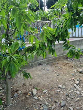 김용대님의 자유주제 · 자유게시판 작성글 사진