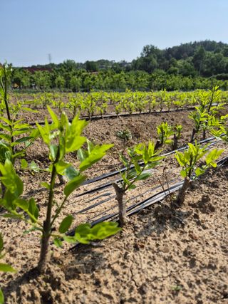 우리농원님의 자유주제 · 자유게시판 작성글 사진