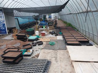 서산팔봉농원님의 자유주제 · 자유게시판 작성글 사진