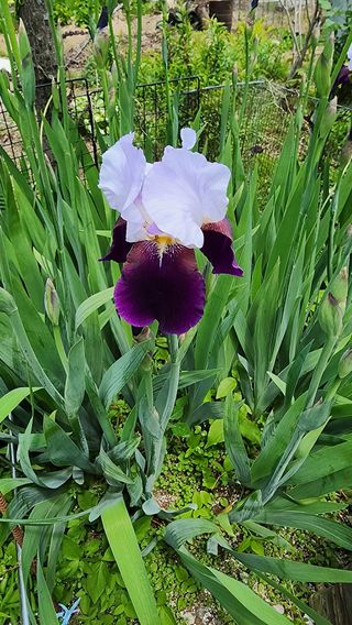 고추건조기부품판매님의 자유주제 · 자유게시판 작성글 사진