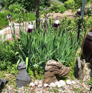 고추건조기부품판매님의 자유주제 · 자유게시판 작성글 사진