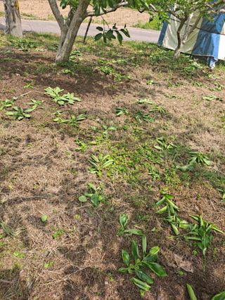 농촌사랑님의 자유주제 · 자유게시판 작성글 사진