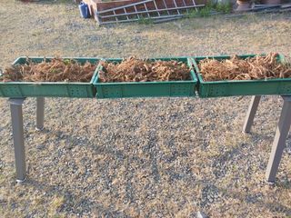 서산팔봉농원님의 자유주제 · 자유게시판 작성글 사진