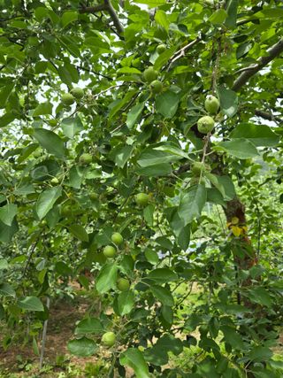 최동구님의 자유주제 · 사진전 작성글 사진