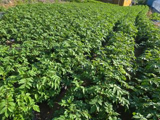 호영님의 자유주제 · 자유게시판 작성글 사진