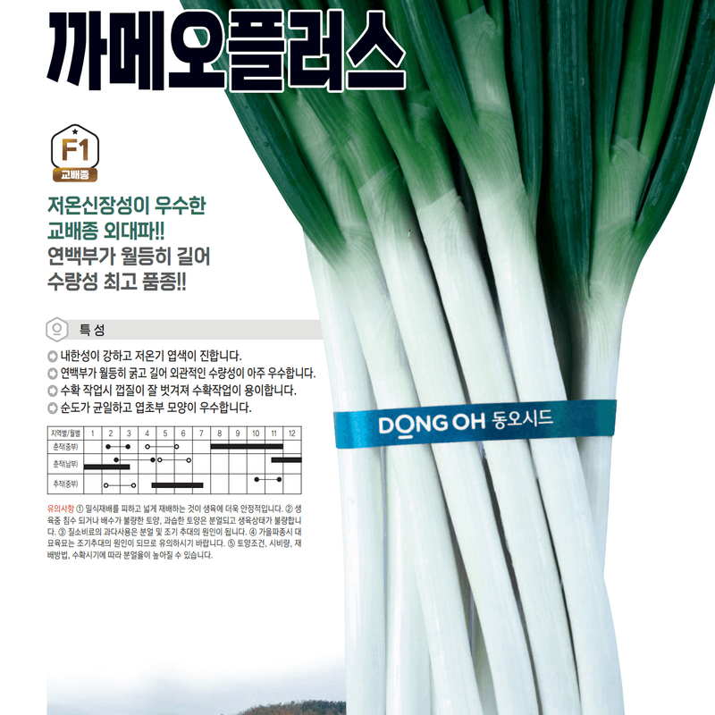장터 상품 [까메오플러스 외대파 종자 400g] 썸네일