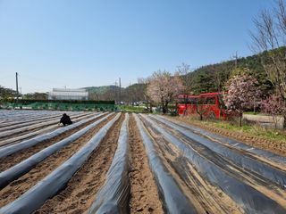 춘장대님의 자유주제 · 자유게시판 작성글 사진