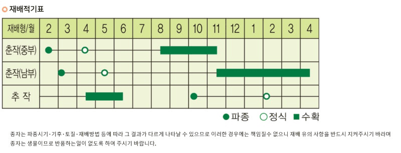 우수영터미널농약사님의 장터 판매 상품 [까메오플러스 외대파 종자 400g] 첨부 사진