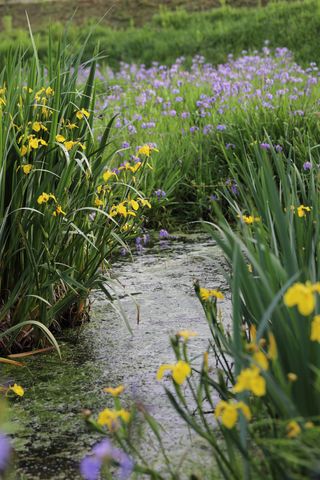 별@노래농장(정씨)님의 자유주제 · 자유게시판 작성글 사진