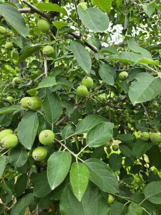 최동구님의 자유주제 · 사진전 작성글 사진