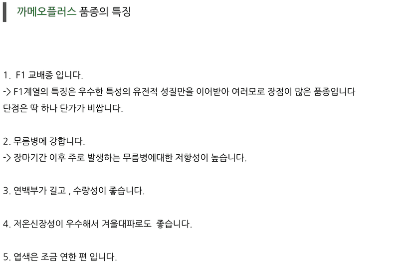 우수영터미널농약사님의 장터 판매 상품 [까메오플러스 외대파 종자 400g] 첨부 사진