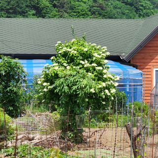 고추건조기부품판매님의 자유주제 · 자유게시판 작성글 사진