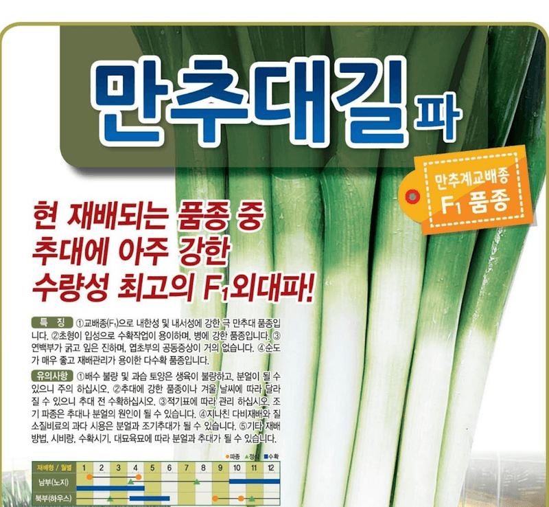 장터 상품 [만추 대길 외대파 종자 400g] 썸네일