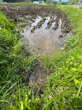 별@노래농장(정씨)님의 자유주제 · 자유게시판 작성글 사진