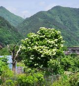 팜모닝 자유주제·자유게시판 게시글 이미지