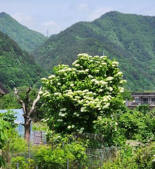 고추건조기부품판매님의 자유주제 · 자유게시판 작성글 사진