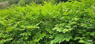 해오름달님의 자유주제 · 사진전 작성글 사진