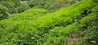 해오름달님의 자유주제 · 사진전 작성글 사진