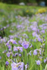 팜모닝 자유주제·자유게시판 게시글 이미지