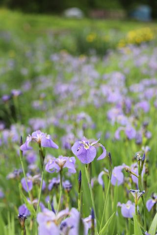 별@노래농장(정씨)님의 자유주제 · 자유게시판 작성글 사진