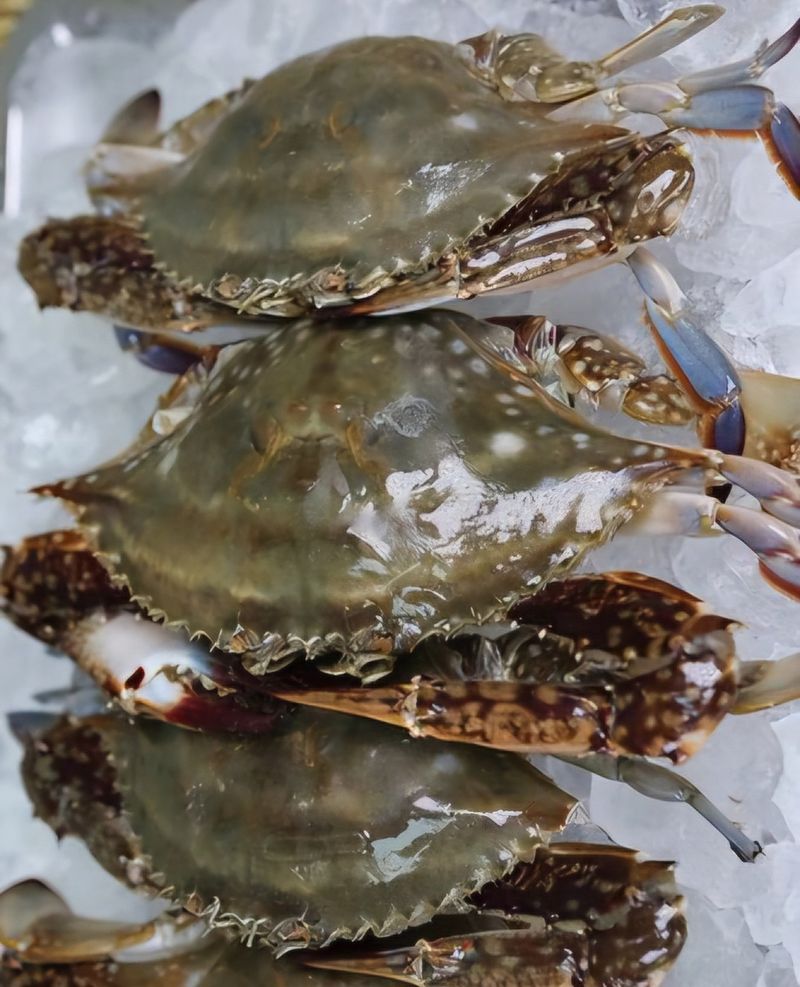 장터 상품 [연평도 알배기 활암꽃게 1kg ] 썸네일