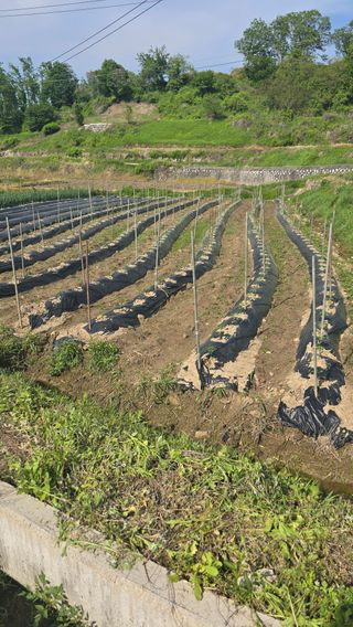 김문규님의 자유주제 · 자유게시판 작성글 사진