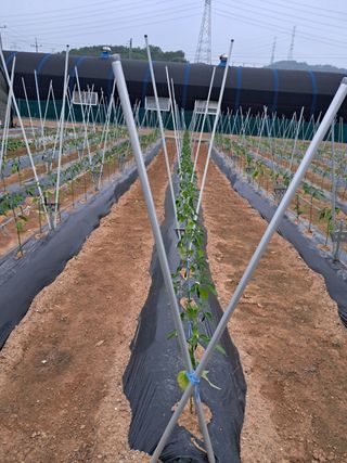 전희분님의 자유주제 · 자유게시판 작성글 사진