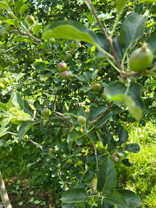 최동구님의 자유주제 · 사진전 작성글 사진