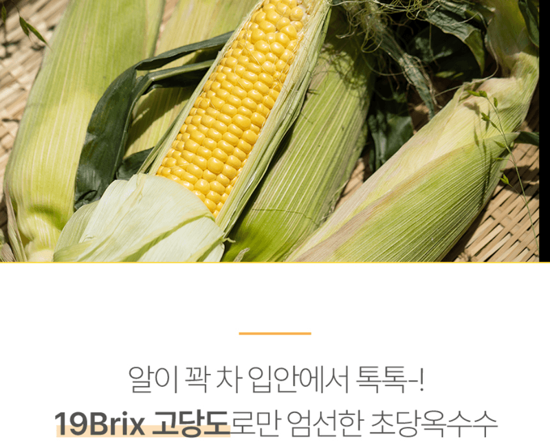 스피드번님의 장터 판매 상품 [국내산 초당옥수수] 첨부 사진