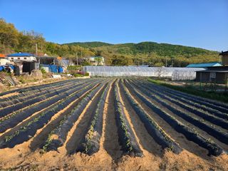 호영님의 자유주제 · 자유게시판 작성글 사진
