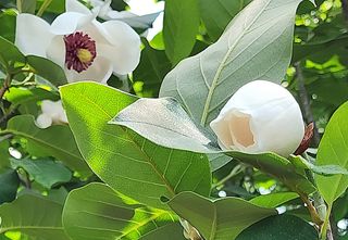 고추건조기부품판매님의 자유주제 · 자유게시판 작성글 사진