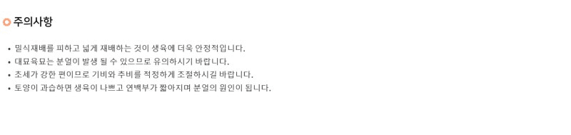 우수영터미널농약사님의 장터 판매 상품 [까메오플러스 외대파 종자 400g] 첨부 사진