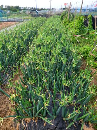 김도훈님의 작성글 사진