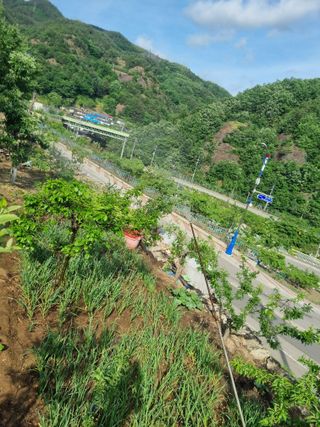 김용대님의 자유주제 · 자유게시판 작성글 사진