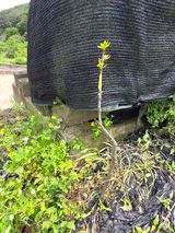 팜모닝 자유주제·자유게시판 게시글 이미지